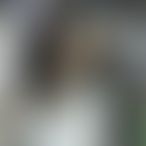 MacarenaMorbo_es 2